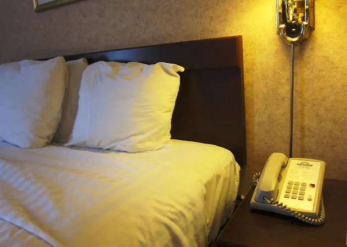 Studio suite
